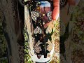 Satisfying Snickers-Inspired Snowglobe Tumbler Swirl! #ASMR #fypシ #dothingsyoudontwanttodo #tumbler