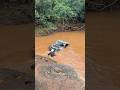 വണ്ടി കഴുകാൻ ഉദ്ദേശമില്ല, ഈ ചെളിയാണ് ഇതിന്റെ ഐശ്വര്യം🤷🏻‍♂️ #shorts #offroad #offroading #mud