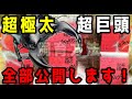 怪奇現象が起こってる...【異次元】の極太阿古谷...国産オオクワガタの飼育環境を見て聞いてみた...