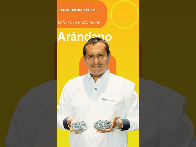Historia de Emprendimiento: El Arándano  #peru #negocios #agricultura
