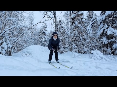 Видео: Хроника в городе. На лыжах заснеженный  лес. Январь 2024 года. Святки.