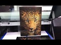 Must see lenticular print done on ujf6042mkii by pds equipment