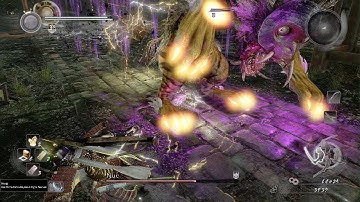 Nioh boss 4, Nue