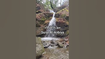سورة الأنبياء Surah Al-Anbiya | قرٱن قراءة هادئة | #المصحف #اكسبلور #الشيخ