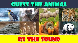 Guess the Animal by the Sound screenshot 5