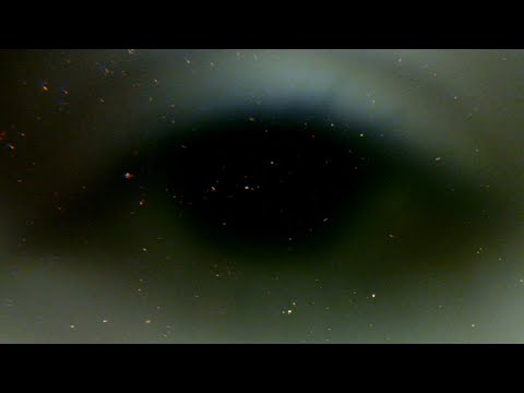Phosphorae - Smokescreen (Warning: Strobe effect throughout the video)