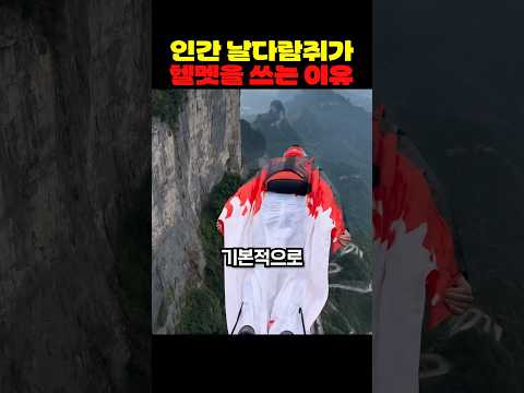 <strong>인간</strong> 날다람쥐가 헬멧을 쓰는 이유