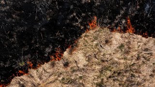 Lauritzen Gardens uses prescribed burns to help prevent wildfires and restore the prairie