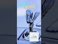 ROLLS Royce logo in/out #rollsroyce #rollsroyceghost #shorts #shortvideo #usa #usa_canada