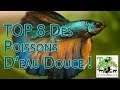 Top 8 des poissons deau douce 