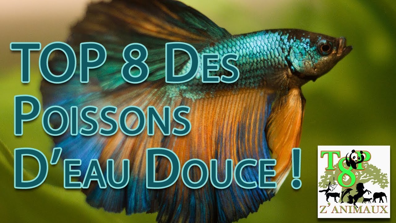 poisson d eau douce en 8 lettres