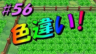 ポケットモンスターｘｙ 色違い カワイイ見た目とは逆に厄介なポケモン フレンドサファリpart56 今更ながらまとめてみた