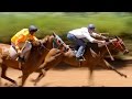 Horse Racing.