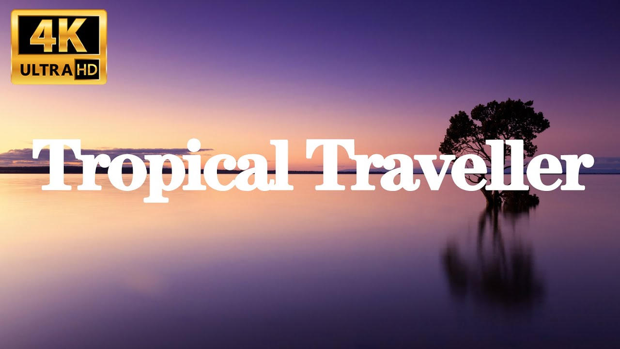 NoCopyrightSongs ♬ Tropical Traveller ♬ 免版税音乐