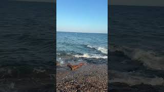 Falmouth Heights Beach Massachusetts| Beautiful Cape Cod Beach & Ocean Views 4K