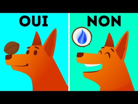 Vidéo: Les chiens mangent-ils des mandarines ?