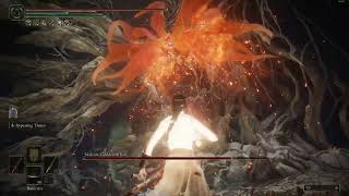 Blood Nagakiba on Malenia - Elden Ring (NG+3)