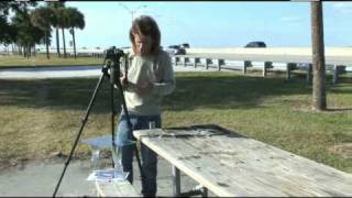 Photographic Picnic-Creative Photography Ideas and Images with Bryan Peterson