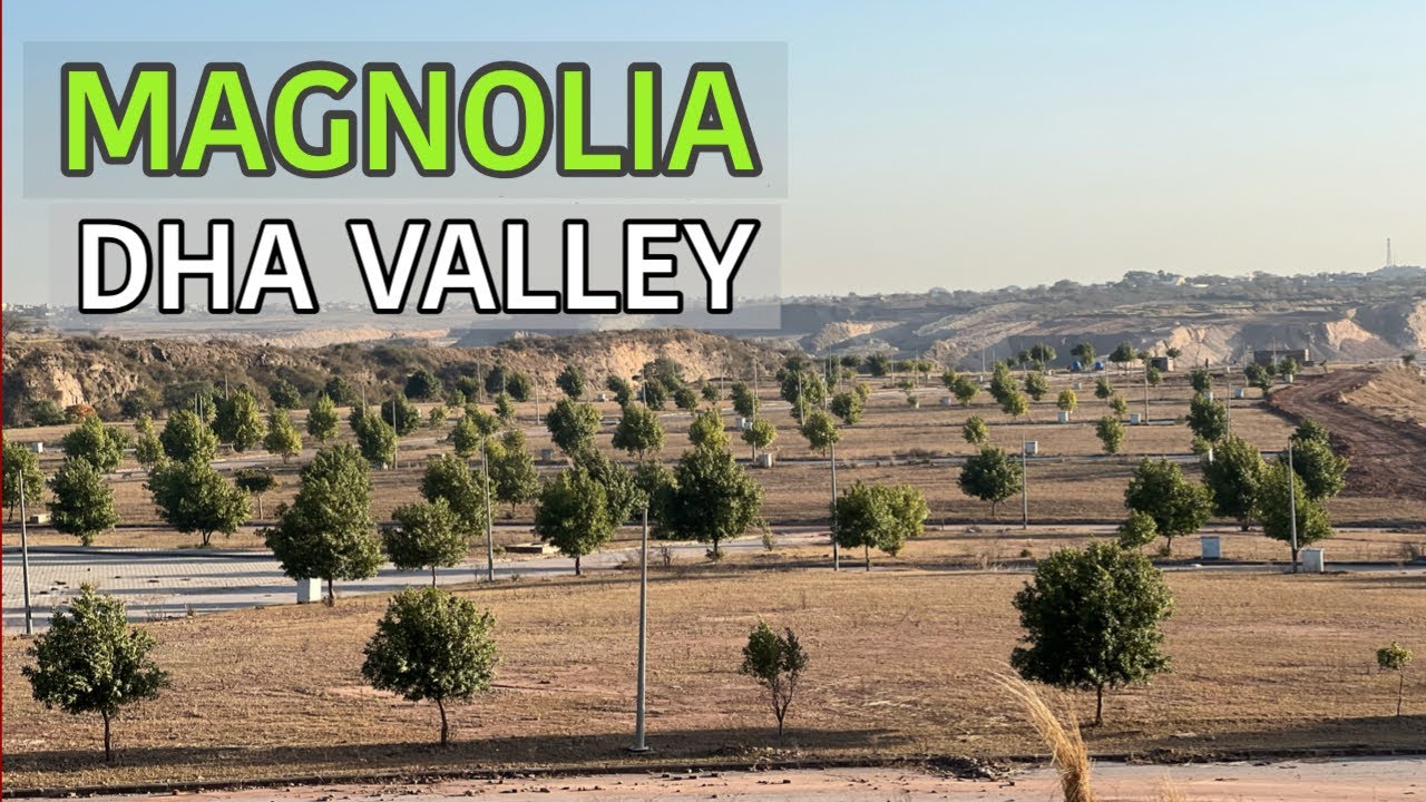 DHA VALLEY MAGNOLIA BLOCK REVIEW 03346089525 YouTube