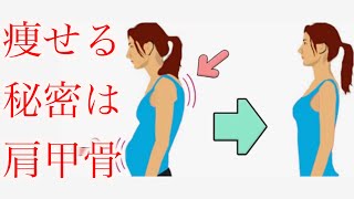 【簡単】ダイエットの秘技！肩甲骨のエクササイズ！【ダイエット】