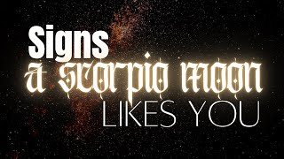 Signs a Scorpio Moon Likes You  ♏️🌚 #scorpiomoon #Scorpiomoonmagick