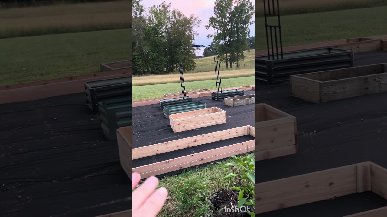 Обновление по саду 