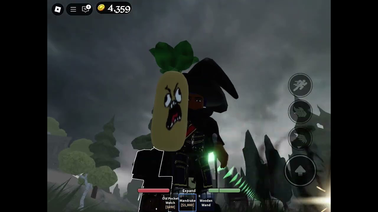 Wizard adventures Pt1