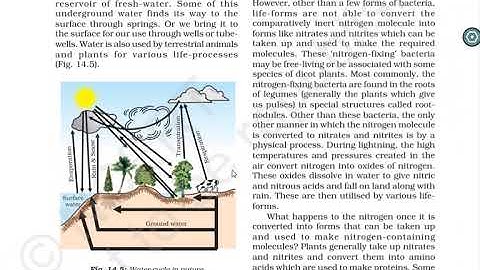 Class-09 science chapter-14 natural resources part-04 nitrogen cycle explanation by Divya.