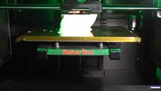 Makerbot Replicator 2X Skull time-lapse