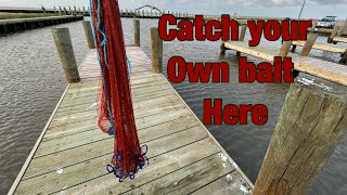 Top 3 Spots to catch your own bait at the Texas City Dike
