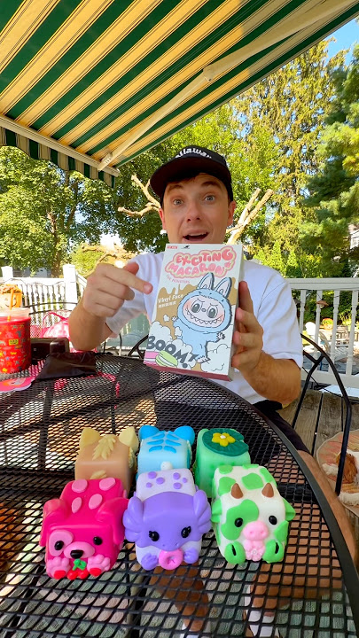 Match the Labubu to the Taba Squishy!