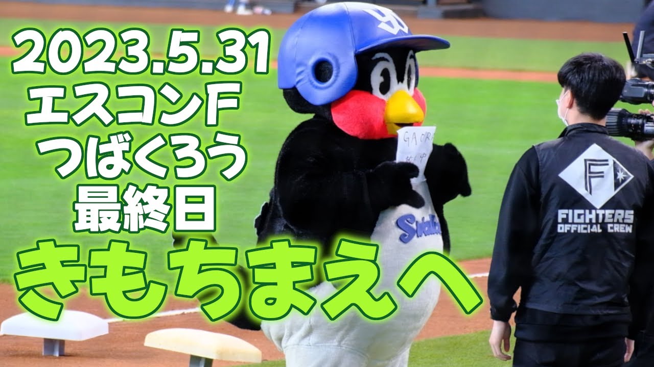 2023.5.31 エスコンフィールド つば九郎