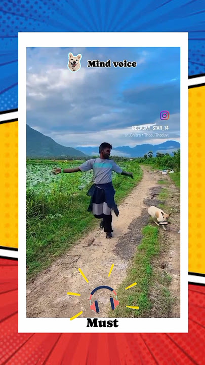 Dog dance sothanaigal 🐕funny videos 😂 comedy#shortsfeed #2k#funny2k#comedyshorts #instareels