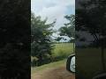 #travel #ihavethisthingwithplants #Vizag highway #short video