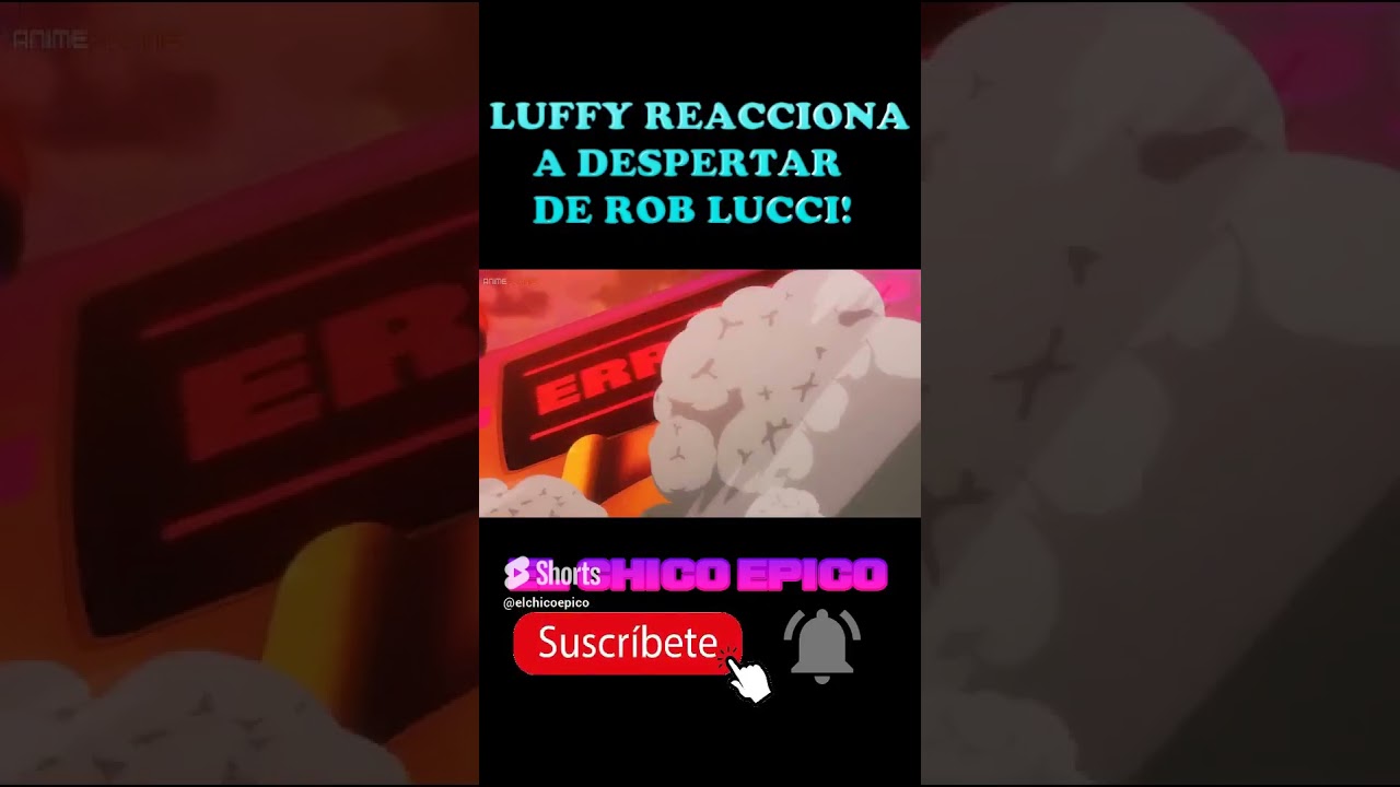 Despertar de Rob Rucci en 4k!🐯