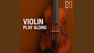 Concerto for Two Violins in D Minor, BWV 1043: I. Vivace