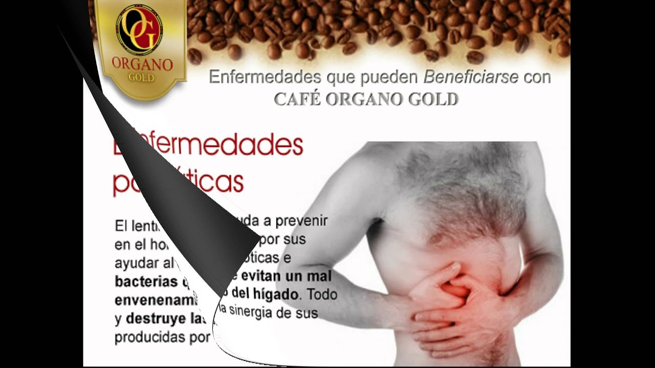Beneficios del Ganoderma Lucidum (Reishi) YouTube