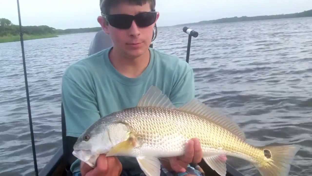 Skinny Water Redfish Fishing - YouTube