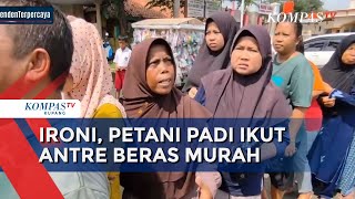 Ironi Negeri Agraris, Petani Padi Ikut Antre Beras Murah