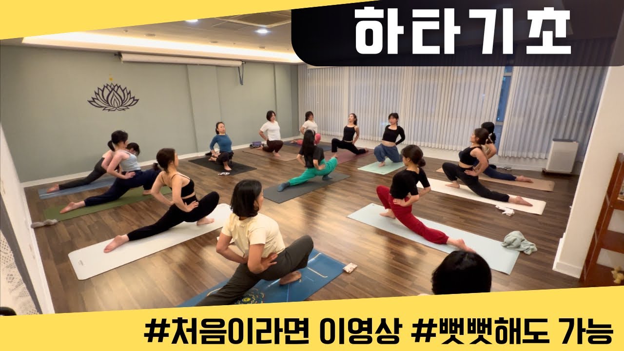 [엔젤요가] 처음이라면 이 영상 어때요? 뻣뻣해도 가능 | 하타기초 | 올레벨