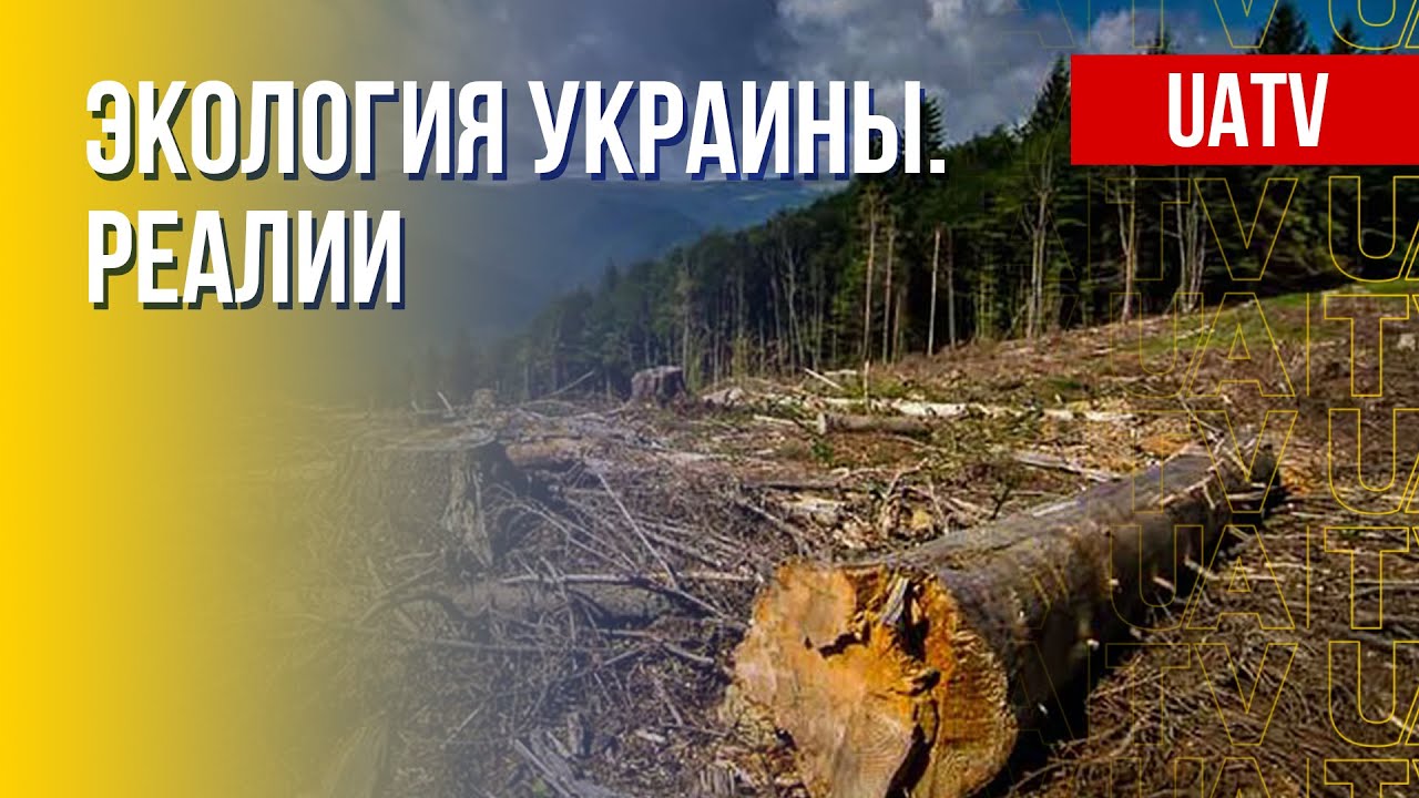 Экология Украины за годы Незовисимости. Примеры смелости украинцев ...