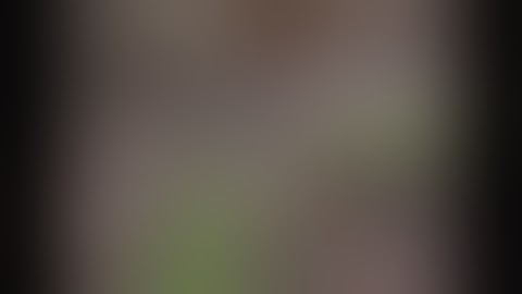 How to build a scrog frame and screen