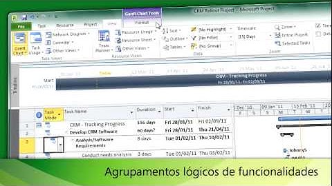 Microsoft Project 2010 - O Friso