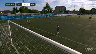 Herea Academy vs LPS Mircea Eliade 5 - 1 ( grupa 2013 )