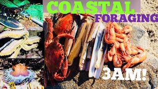 3AM COASTAL FORAGING - Gathering Clams, Cooking On The Beach ! GIANT STARFISH !