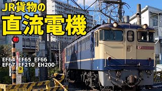 JR貨物の直流電気機関車! 全車種 JR貨物の現役ラストナンバーで揃えました