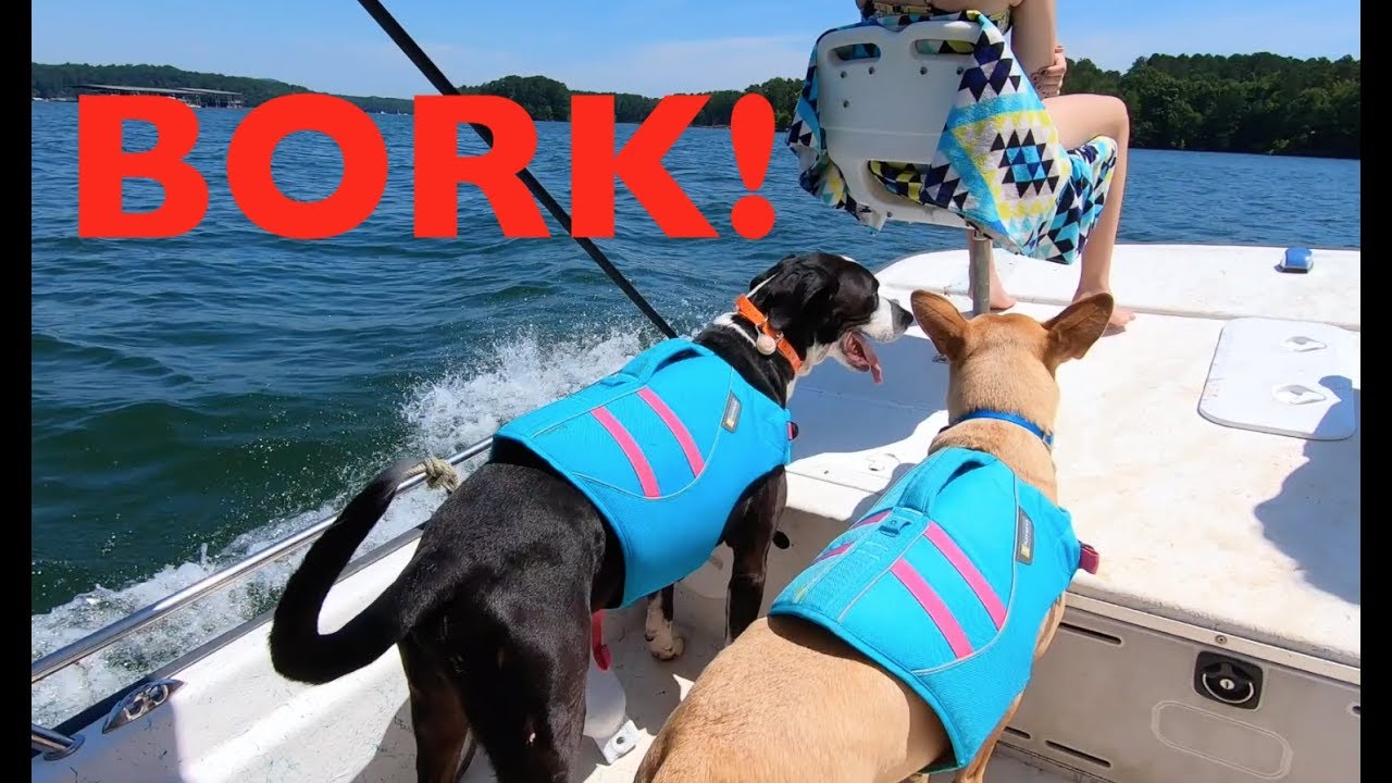 Boat day on Lake Allatoona!