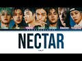 WAYV Nectar Lyrics (웨이션브이 넥타 (Nectar) 가사) [Color Coded Lyrics Chinese/Pinyin/Eng]