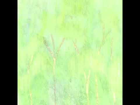 Last Summer, with You - Taekkeun Sim
