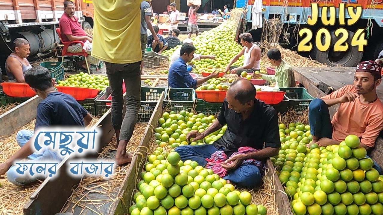 মেচুয়া ফলের বাজার জুলাই 2024|| Machhu Mandi kolkata || fruit market in kolkata #frut #apple